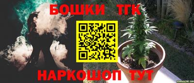 тгк Аша