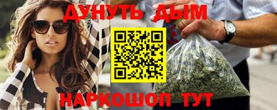 СК Бердск