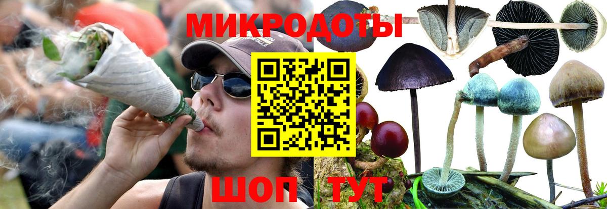 Галлюциногенные грибы мухоморы  Вход с VPN  Прохладный 