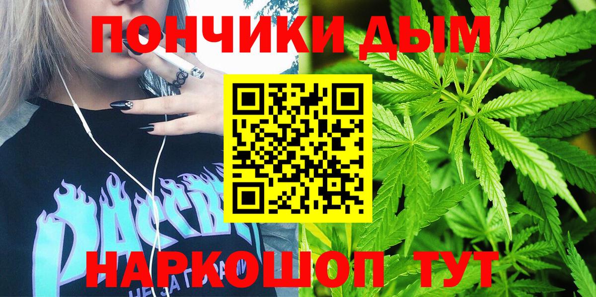 Бошки марихуана план  Марихуана MAZAR  Прохладный  Каннабис семена  Вход с VPN 